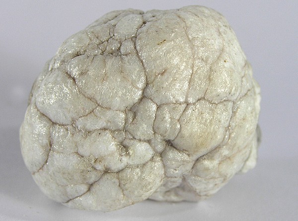 Photo 2 de Howlite